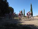 MTBTOSCANA2011  (301)